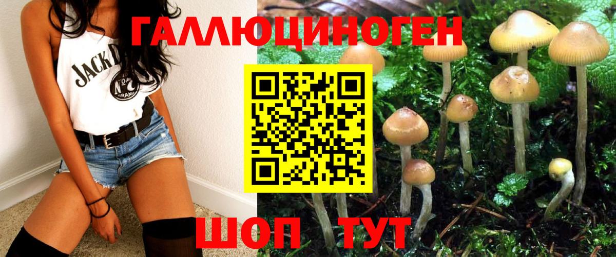 Галлюциногенные грибы ЛСД Шебекино