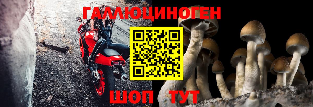 Псилоцибиновые грибы Magic Shrooms  где купить   Шебекино  Вход с VPN 